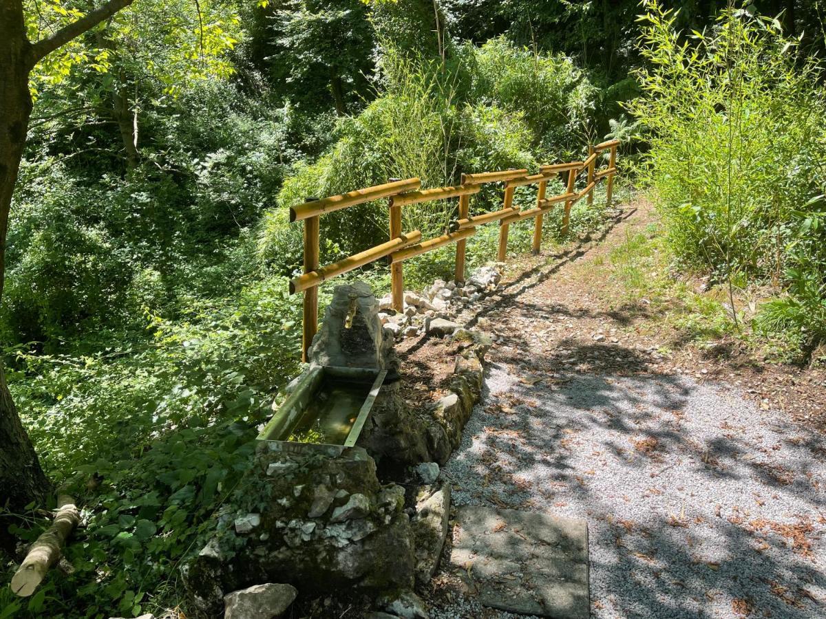 Appartamenti Lago Di Como Valbrona Εξωτερικό φωτογραφία